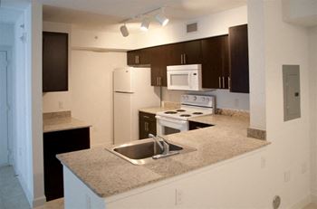 Open concept kitchen
